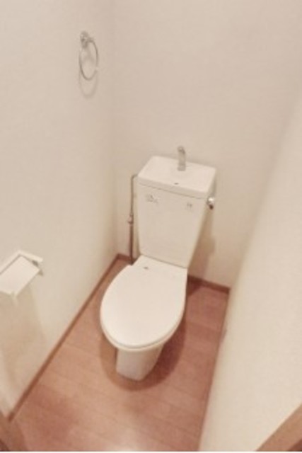 フォルジュロンのトイレ写真