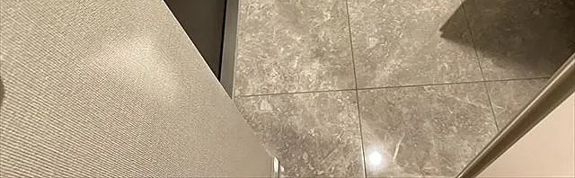 グランカーサ上野池之端の玄関写真