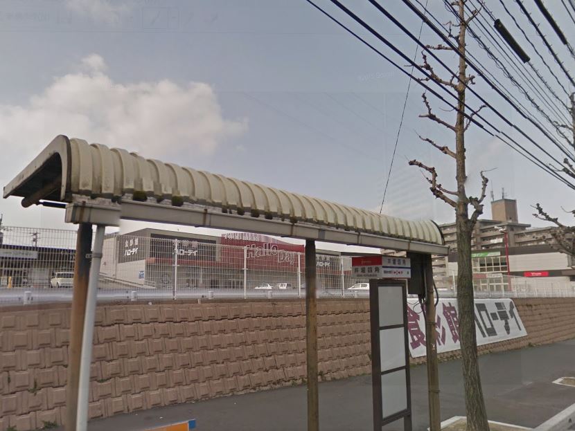 ドラックストア　ドラッグセガミ井堀店（ドラッグストア）まで239m