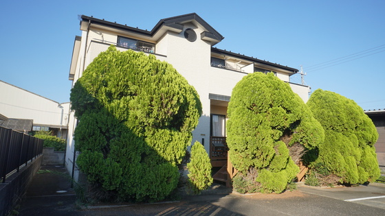 ｒａｐｐｏｒｔ　ｓｕｍｉｙｏｓｈｉ　IIIの建物外観