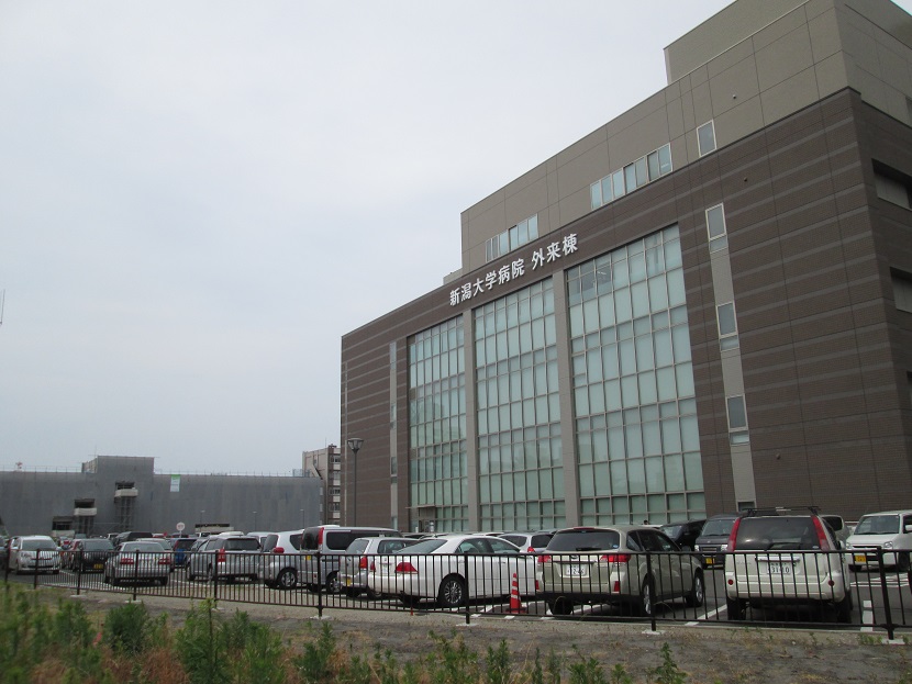 病院　新潟大学医歯学総合病院（病院）まで494m