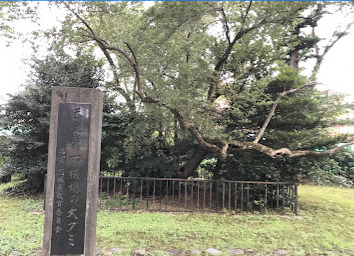 公園　高野台緑地公園（公園）まで299m