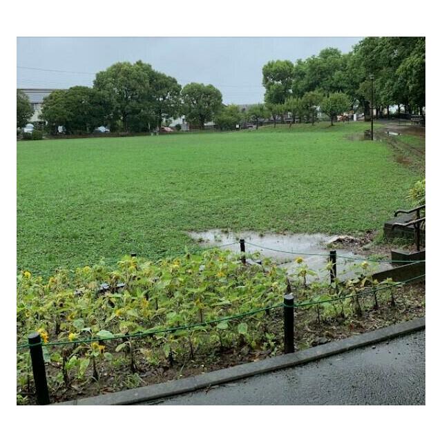 公園　洋光台北公園（公園）まで721m