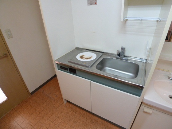 キッチン　他号室のお写真です