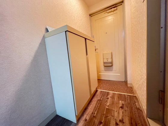 玄関　※別号室の写真となります。
