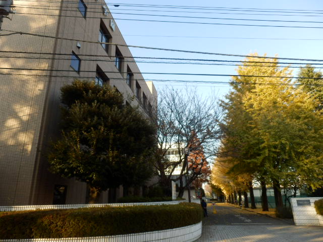 幼稚園・保育園　白梅幼稚園（幼稚園・保育園）まで324m