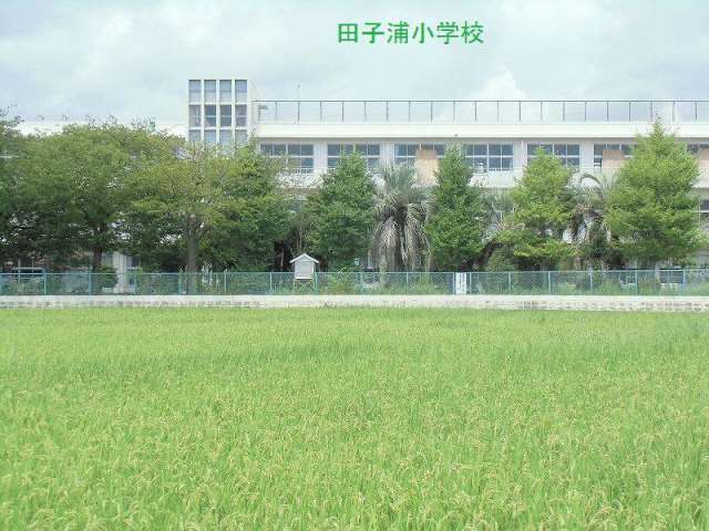 小学校　田子浦小学校（小学校）まで947m