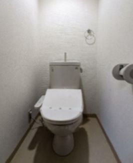 トイレ　※同仕様写真含む