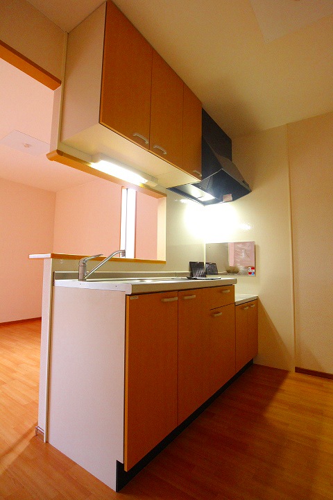 キッチン　カウンターキッチン　※別号室参考写真