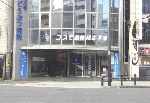 病院　天王寺どうぶつ病院（病院）まで293m