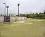 公園　刈谷市総合運動公園（公園）まで1613m