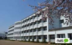 中学校　佐野市立南中学校（中学校）まで1243m