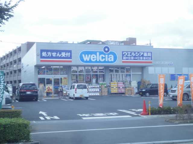 その他　ウエルシア東川口店（その他）まで781m
