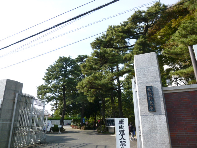 大学・短大　武蔵野大学（大学・短大）まで28m