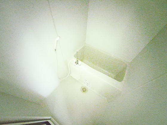 バス・シャワールーム　※別部屋の写真です