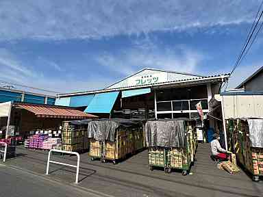 スーパー　フレッツ魚屋（スーパー）まで524m