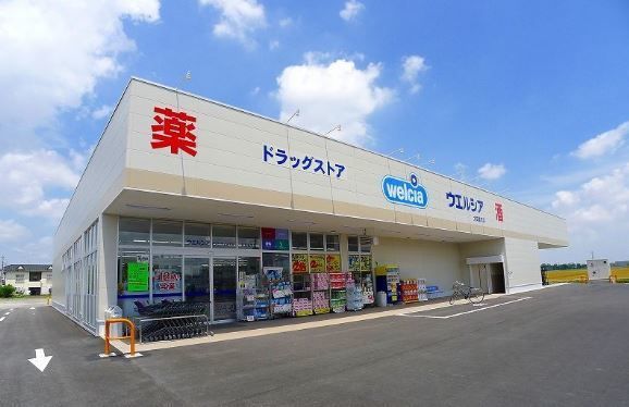 ドラックストア　ウエルシア太田富沢店（ドラッグストア）まで700m