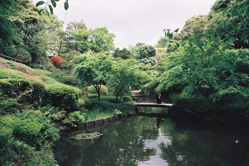 公園　池田山公園（公園）まで154m