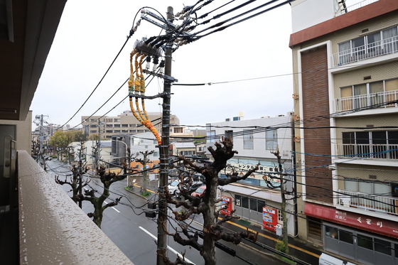 眺望　※別部屋の写真です