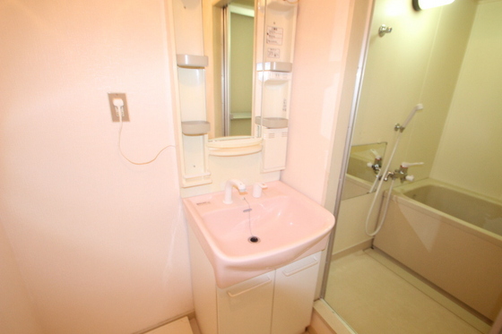 洗面設備　※別号室のお写真です