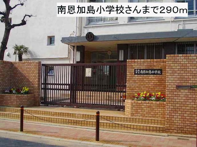 小学校　南恩加島小学校（小学校）まで290m