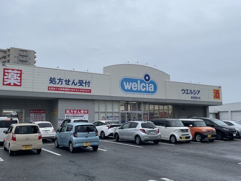 ドラックストア　ウエルシア新潟南笹口店（ドラッグストア）まで206m