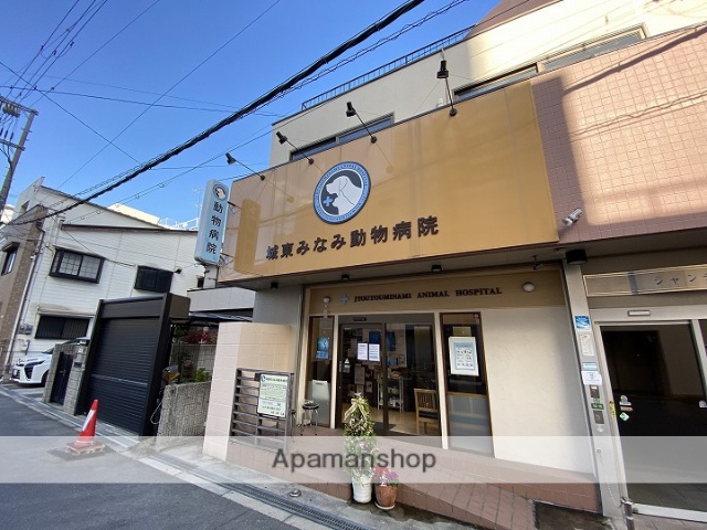 病院　城東みなみ動物病院（病院）まで386m