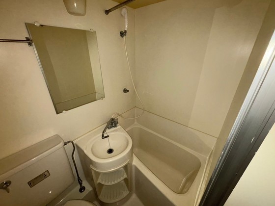 バス・シャワールーム　※別部屋の写真です