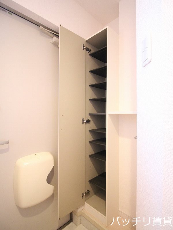 玄関　画像は同シリーズタイプの為、参考写真になります。