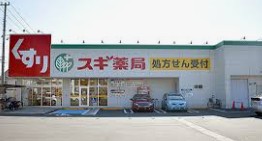 ドラックストア　スギ薬局新橋町店（ドラッグストア）まで841m