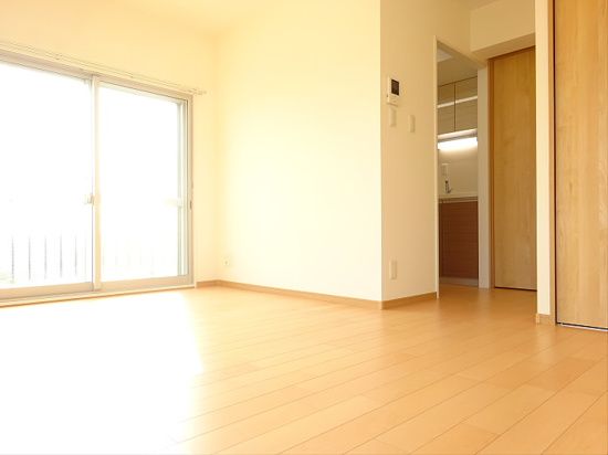 居室・リビング　※全て別号室（2LDK）のお写真。内装等参考にしてください。