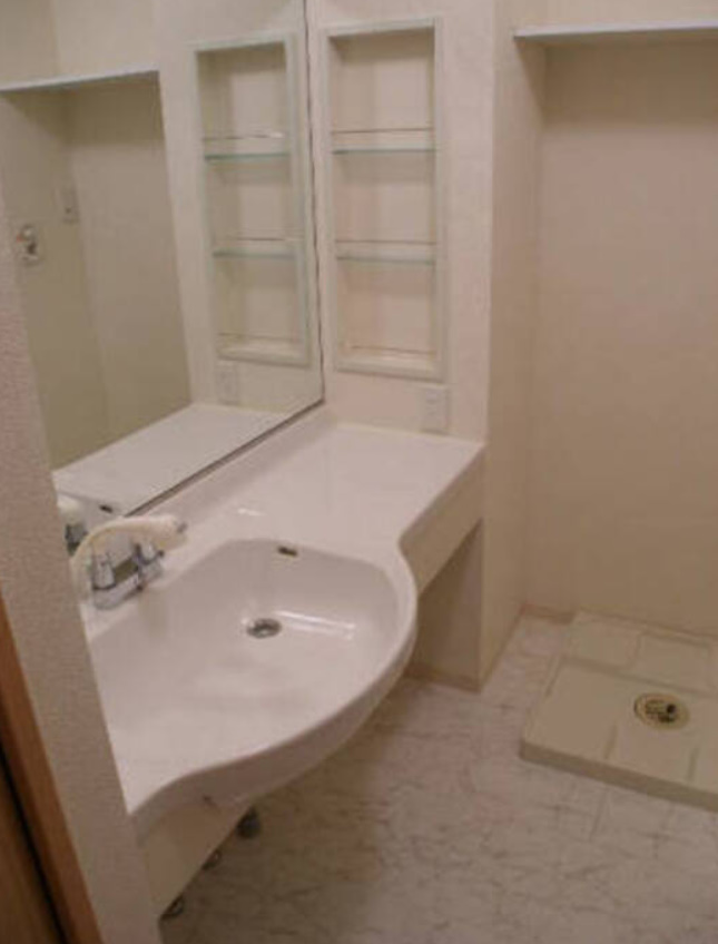 洗面設備　シャワーヘッドタイプ