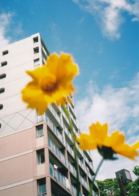 その他共有部分　敷地内の共同花壇