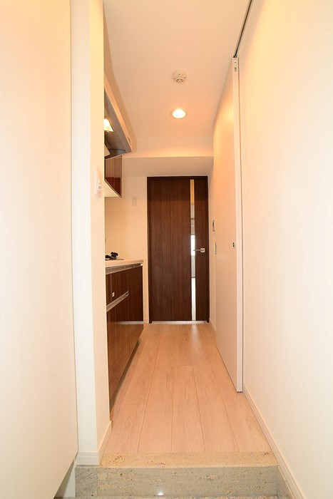 玄関　※カラータイプは茶です