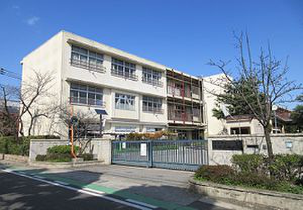小学校　西宮市立香櫨園小学校（小学校）まで220m