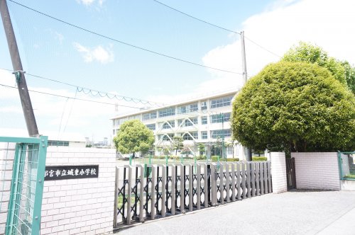 小学校　宇都宮市城東小学校（小学校）まで866m