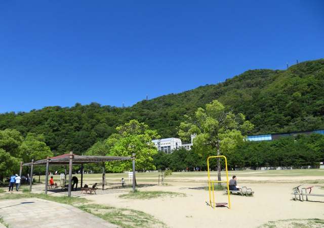 公園　灘丸山公園（公園）まで820m