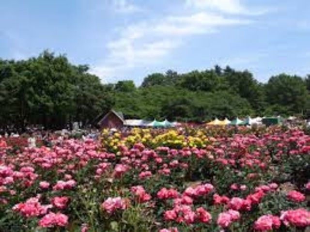 その他　与野公園（その他）まで435m