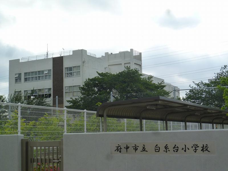 小学校　府中市立白糸台小学校（小学校）まで784m