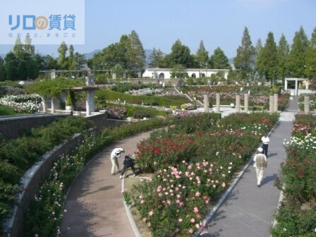 公園　荒牧バラ公園（公園）まで567m