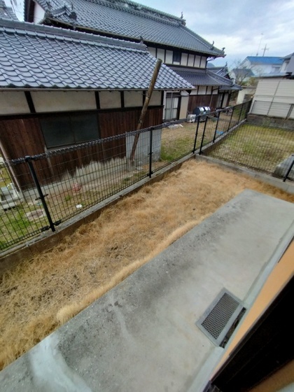 庭