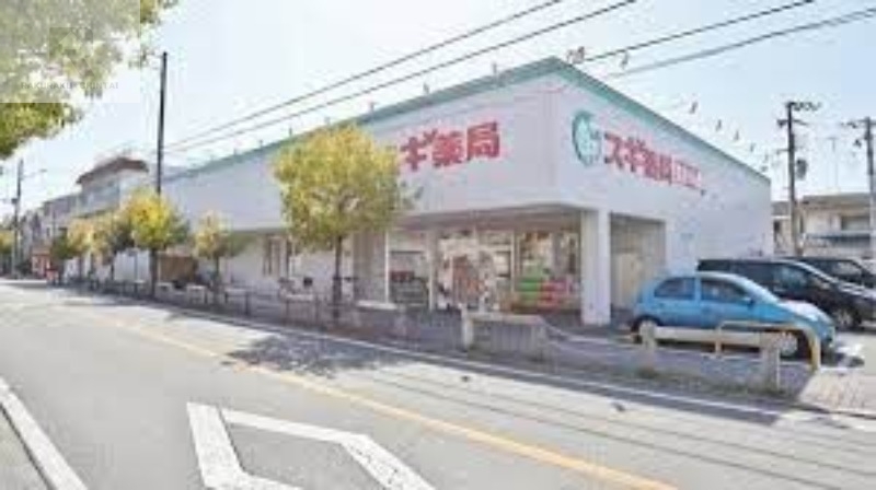 ドラックストア　スギ薬局上ノ島店（ドラッグストア）まで961m