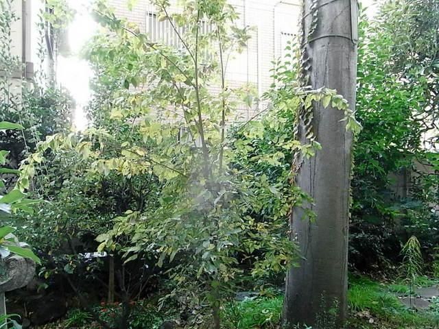 眺望　ベランダからの景色