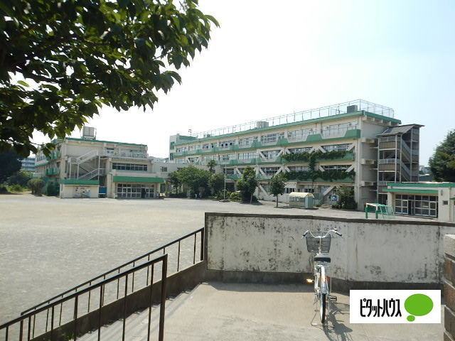小学校　小金井市立緑小学校（小学校）まで917m