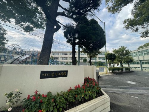 小学校　熊本市立壷川小学校（小学校）まで553m