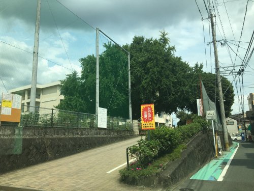 小学校　熊本市立黒髪小学校（小学校）まで784m