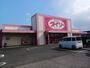 その他　ダイソー 八街松島店（その他）まで1500m