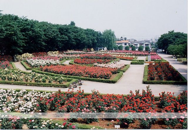 公園　与野公園（公園）まで318m