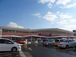 スーパー　ヨークベニマル成沢店（スーパー）まで826m
