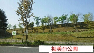 公園　梅美台公園（公園）まで2000m